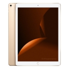 Apple iPad Pro 12.9 (2017) Wi-Fi 64GB oro ricondizionato