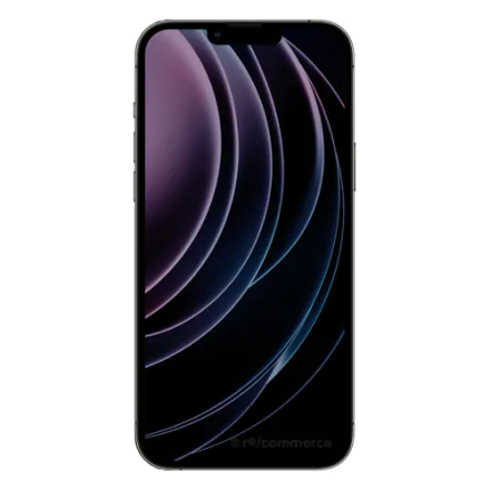 refurbished iPhone 13 Pro Max 256 GB schwarz