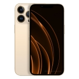 Apple iPhone 13 Pro Max 256 GB dorato ricondizionato