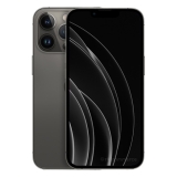 Apple iPhone 13 Pro Max 1 TB nero ricondizionato